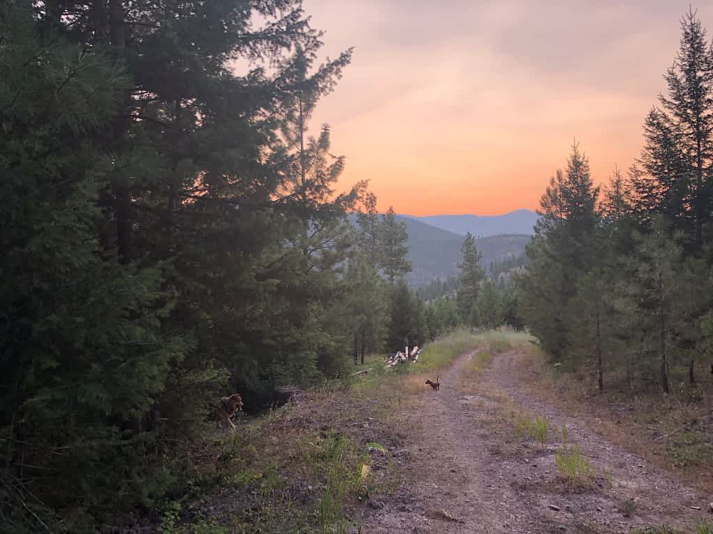 Beautiful Montana sunset